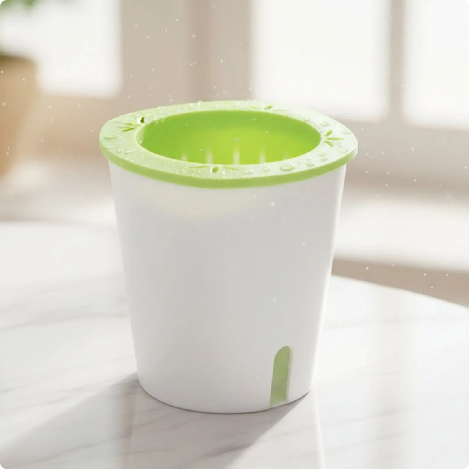 Self-Watering Planter