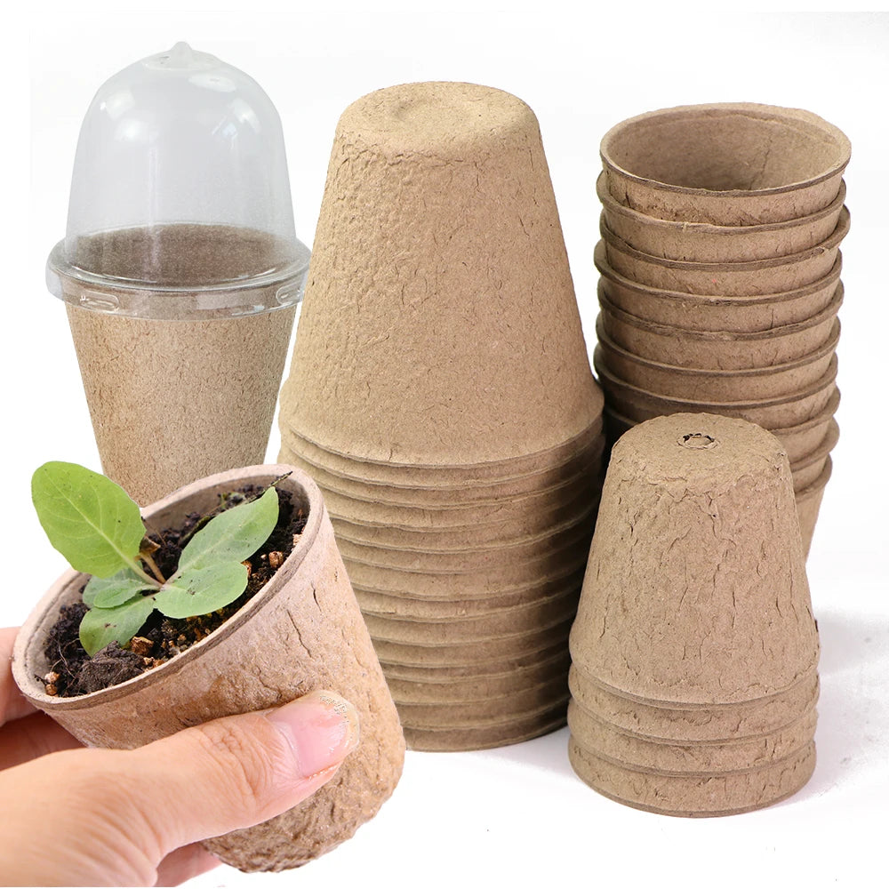Biodegradable Seed Starter Pots - 10 Pack