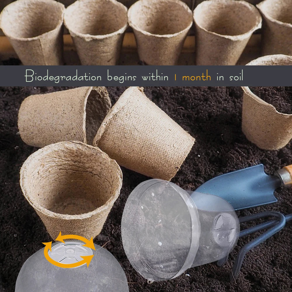 Biodegradable Seed Starter Pots - 10 Pack
