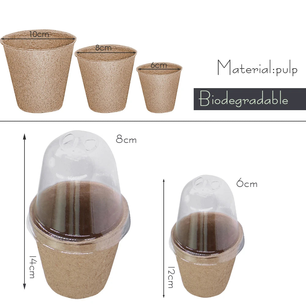 Biodegradable Seed Starter Pots - 10 Pack