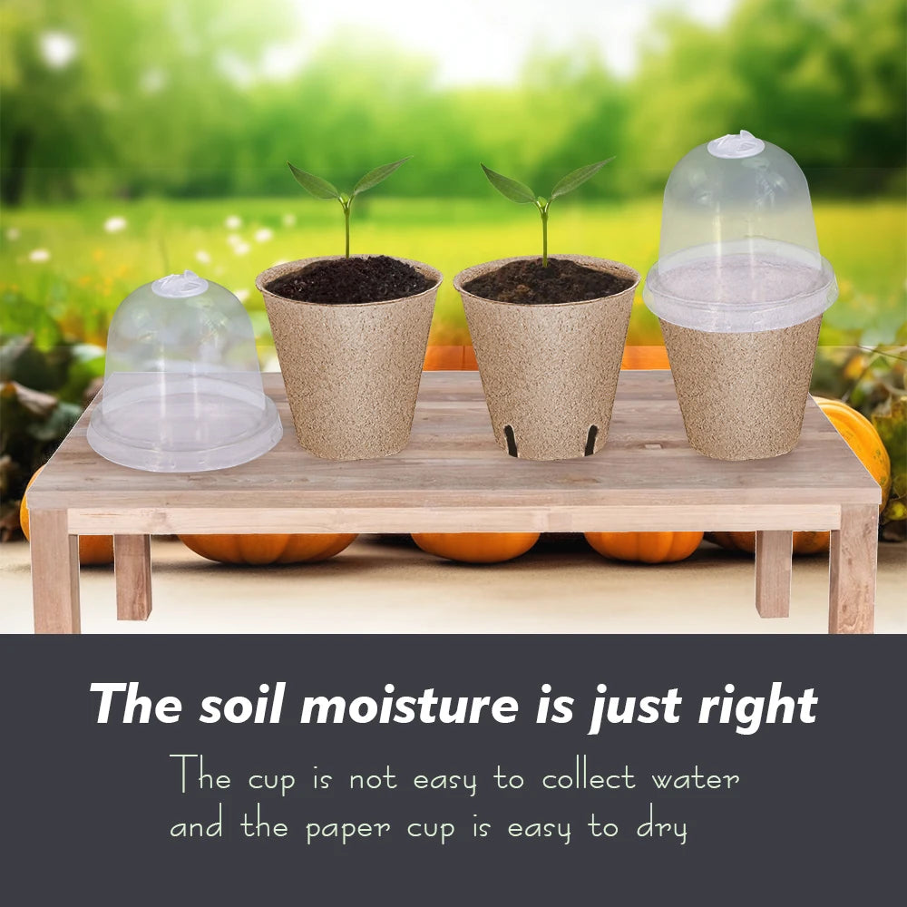 Biodegradable Seed Starter Pots - 10 Pack