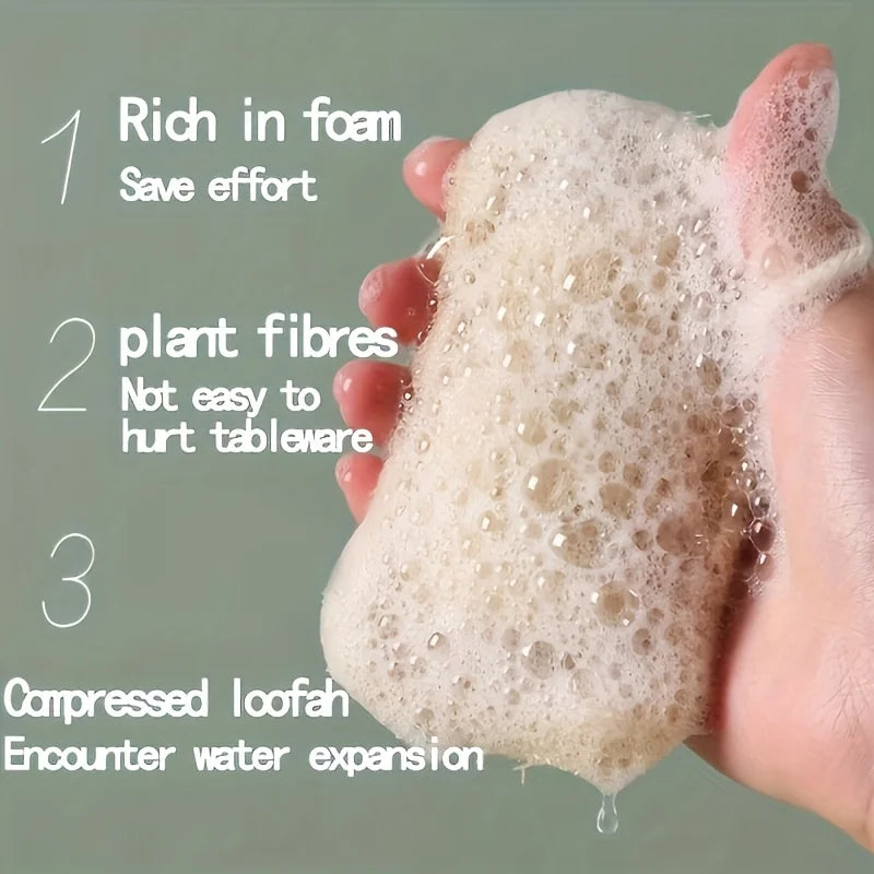 Natural Loofah Sponge - 6 Pack