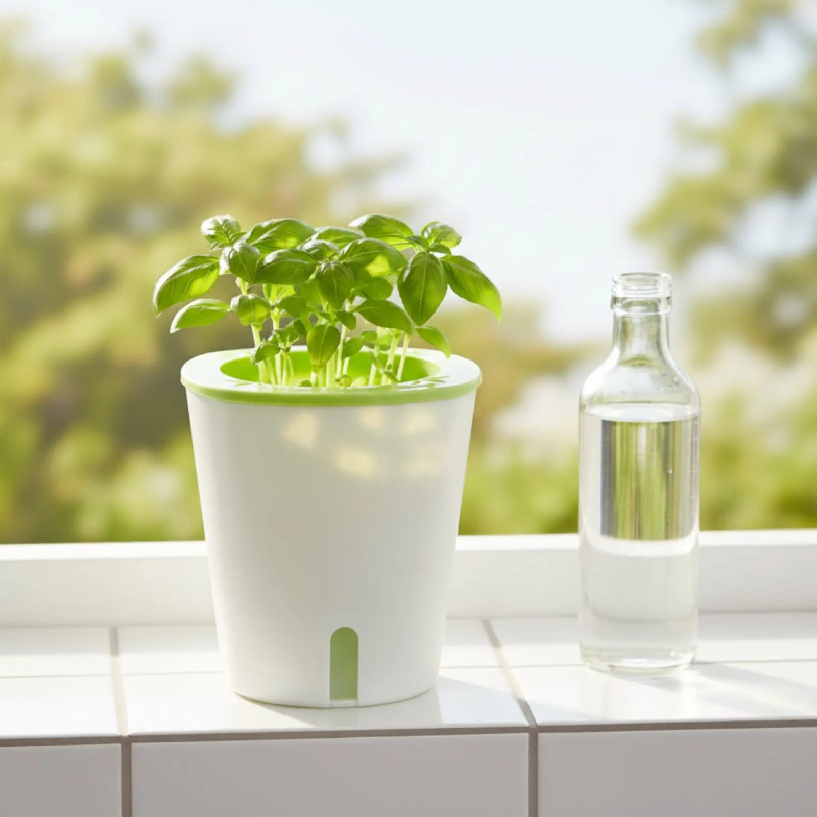 Self-Watering Planter