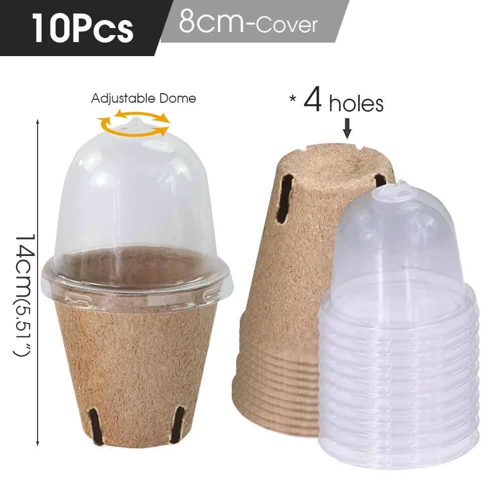 Biodegradable Seed Starter Pots - 10 Pack